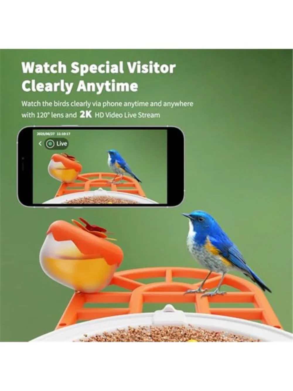 New Bird Feeder with Camera with AI Identify Birds Species Solar Powered